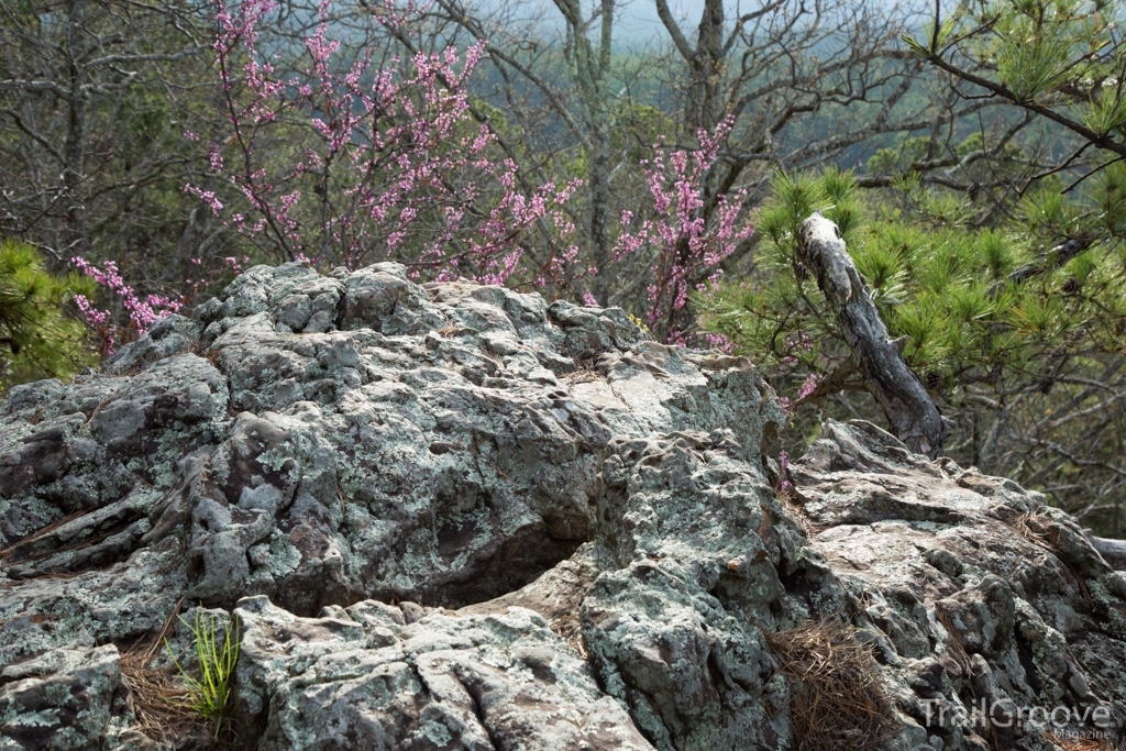 Hiking and Backpacing in Robbers Cave State Park, Oklahoma