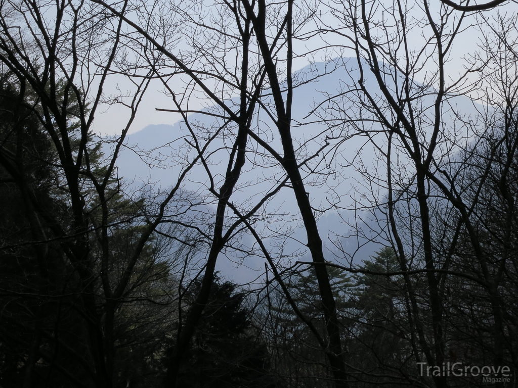An ethereal view of a nearby peak greets you through the trees as you start up the trail from the shrine