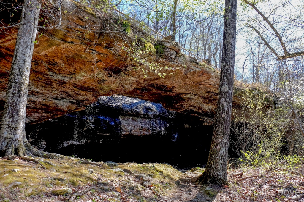 Hiking to Alum Cove