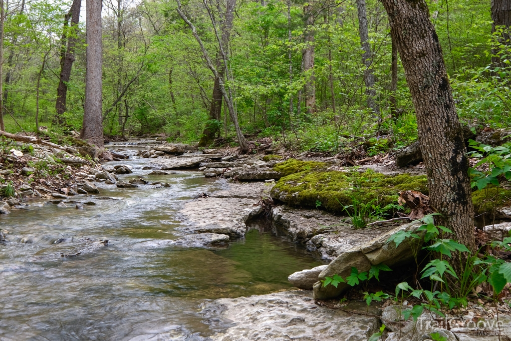 Creek in Devil's Eyebrow Natural Area