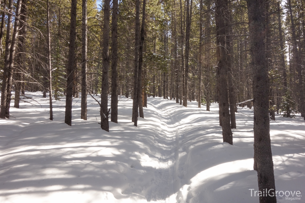 The Bakers Tank Ski Trail was well broken out.