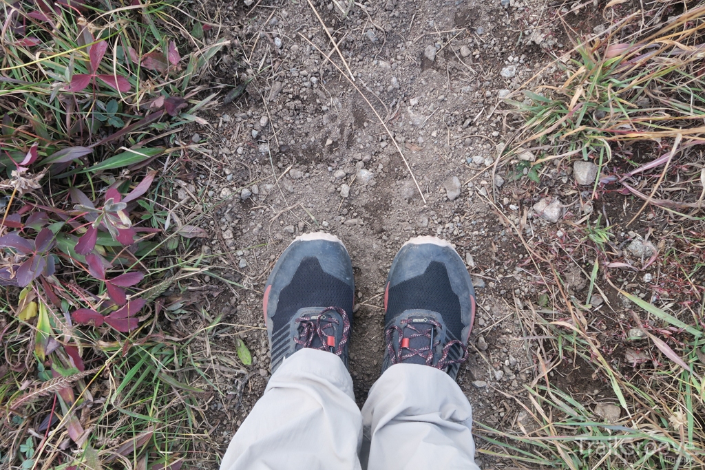 Review of both the Mesh and GTX Brooks Cascadia