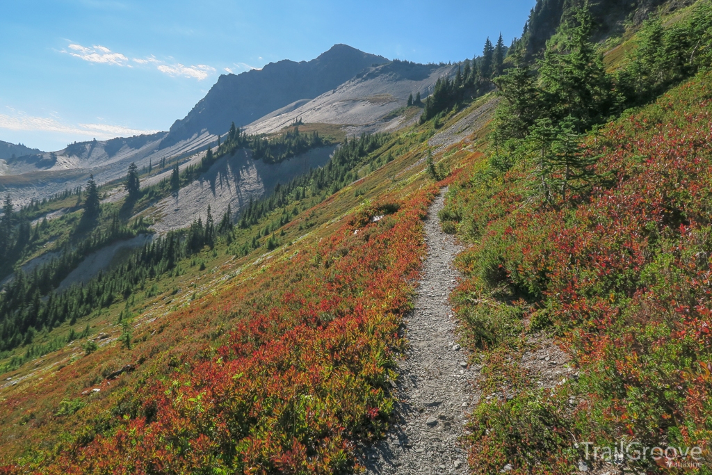 Backpacking Trail in Olympic