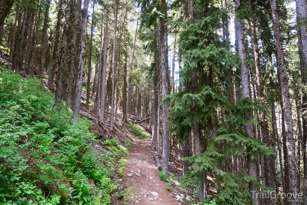 Bitterroot National Forest Hiking