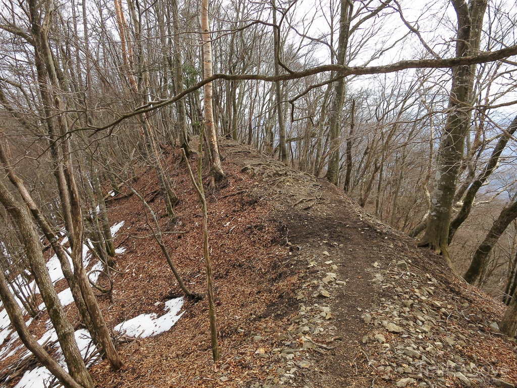 The path down from the summit of Mt. Kumotori to the town of Okutama is long and often thin. You really get the sense that you’re on the ridgeline