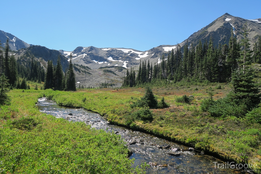 Peaks and Meadows in Olympic