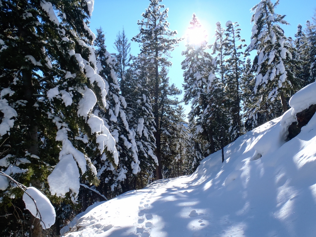 Sunshine and Snow