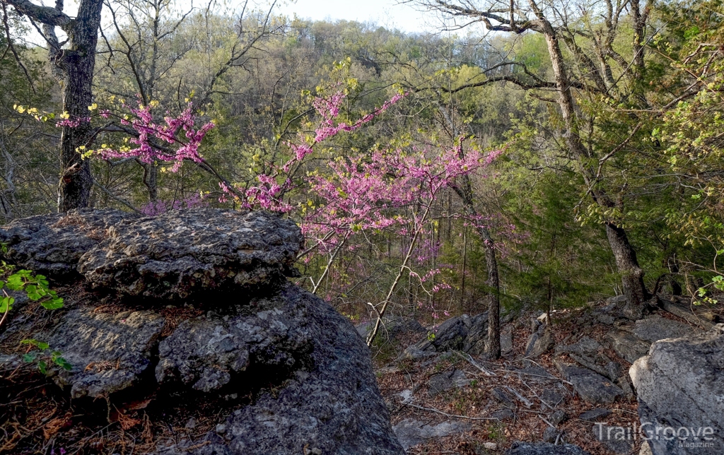 Ozark Mountains Hikes