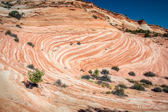 Hiking the Vermilion Cliffs and Grand Staircase
