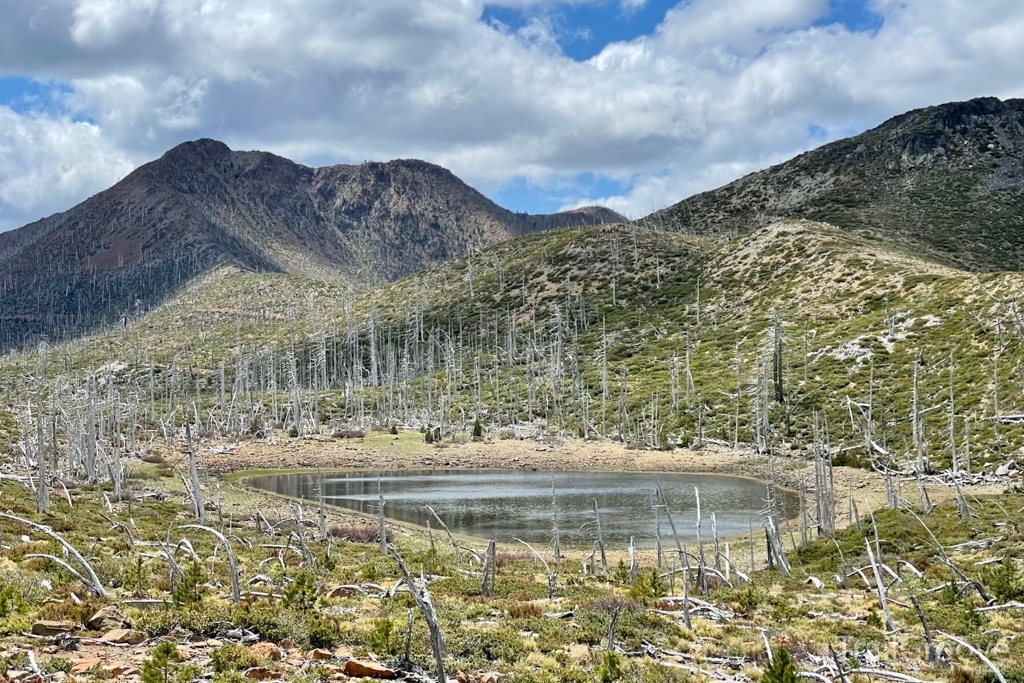 Kalmiopsis Wilderness Burn Area