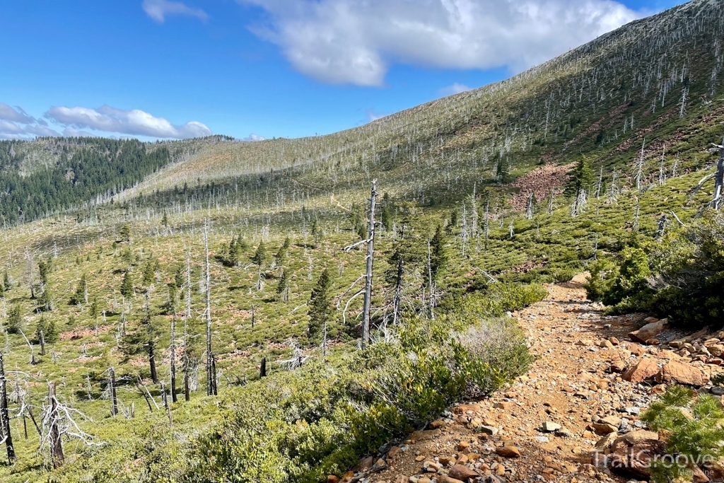 Backpacking the Kalmiopsis Wilderness of Oregon