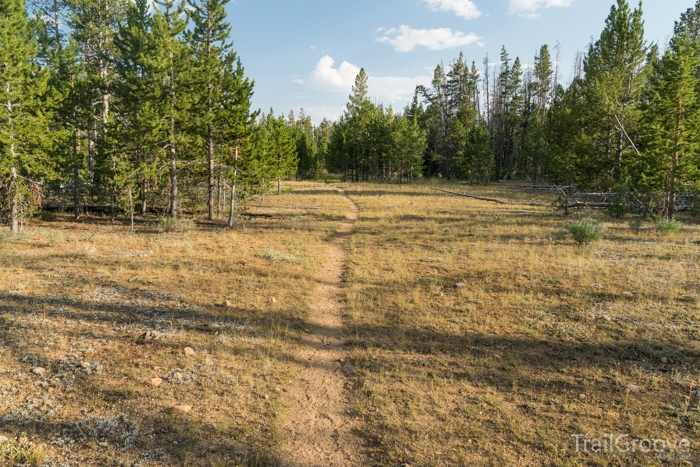 Staying in Shape for Backpacking