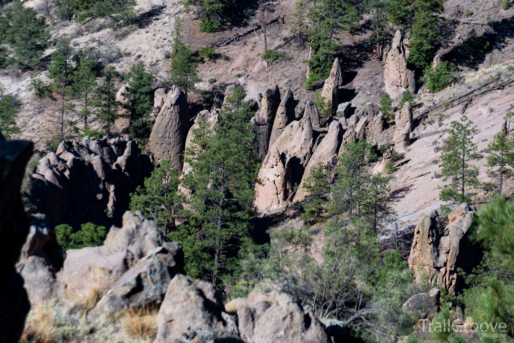 Paliza Goblin Colony near the Jemez Mountains