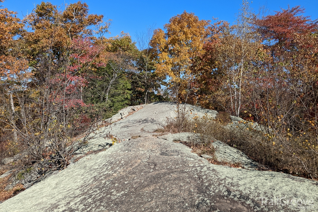 Headed north along the ridge on the Ramapo-Dunderberg trail.