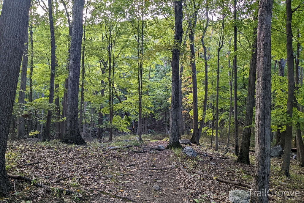 Walking the Coppermine Trail in Bear Mountain State Park. The trail becomes steep right after this section.