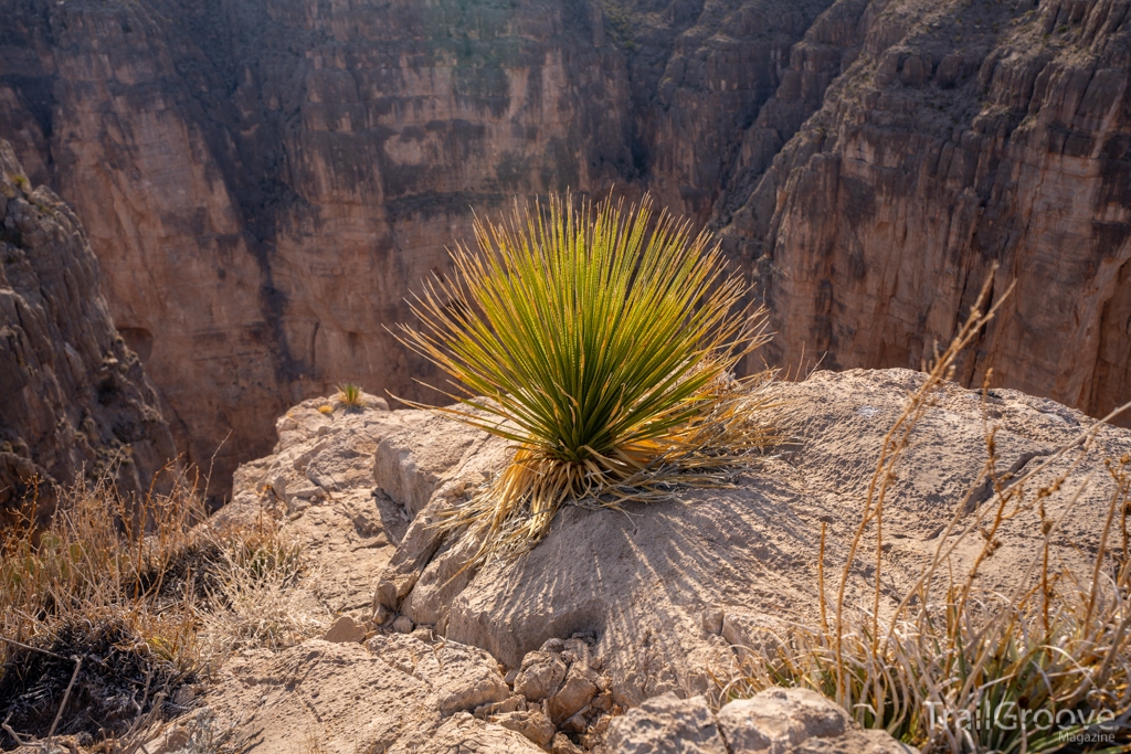 Hiking in Mariscal Canyon with Sotol on the Edge