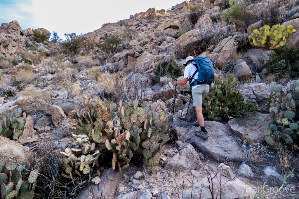 Hiking Big Bend National Park