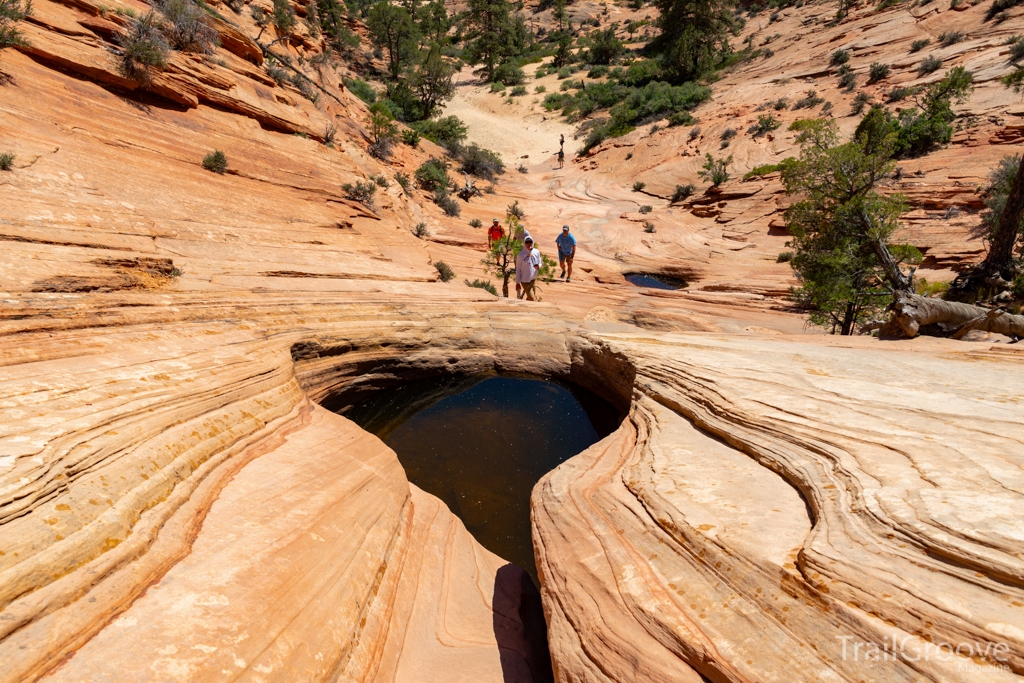 Many Pool Hike in Zion - Looking Downstream
