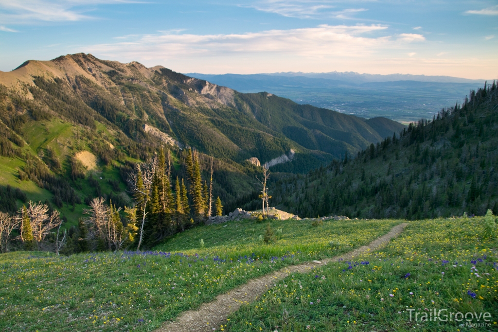 Trail in Montana's Bridger Range