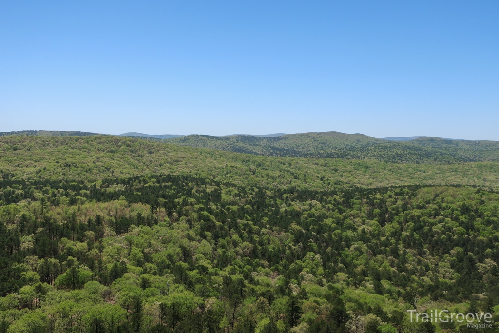 Viewpoint on the Ouachita Trail