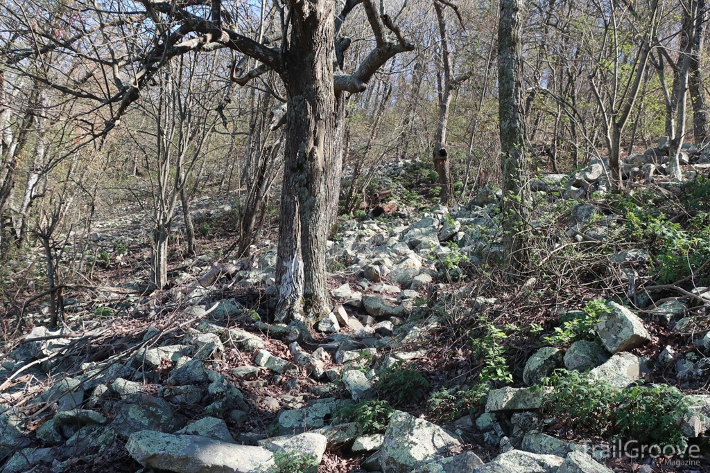 Rocky Section of Trail - Hiking the Ouachita Trail