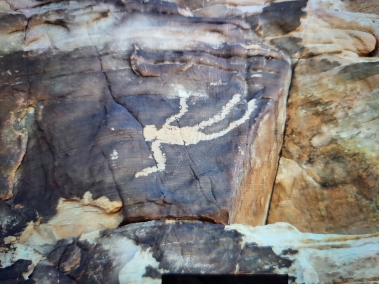PSX_20230425_080158.jpg