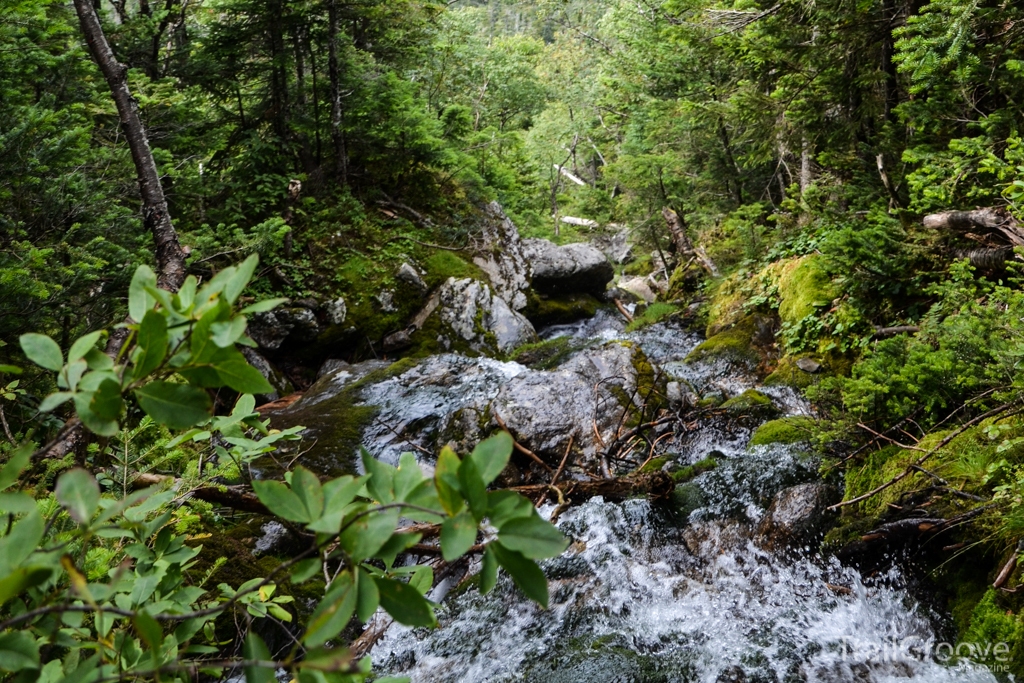 Hiking Mount Monroe