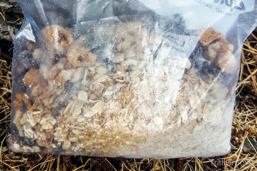 Backpacking Desert Recipe (in a Bag) - Oatmeal Cookie Warmer