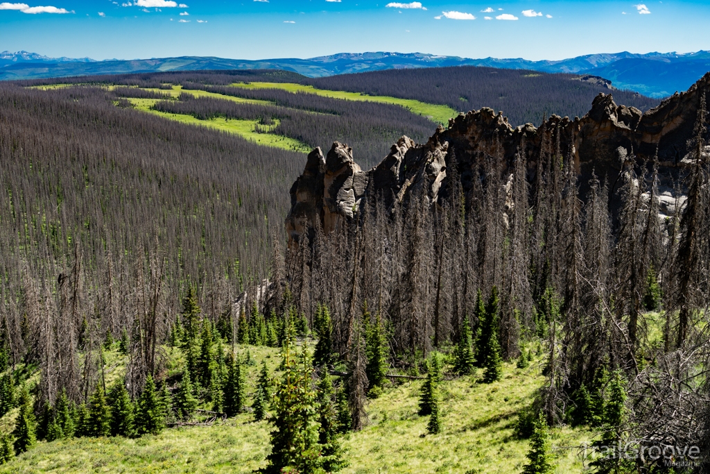 Dead Engleman spruce forest, Wheeler Geologic Area