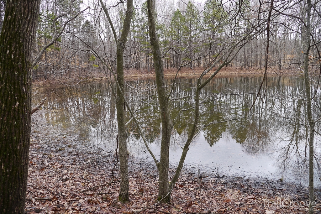 Midwest Water Source While Backpacking