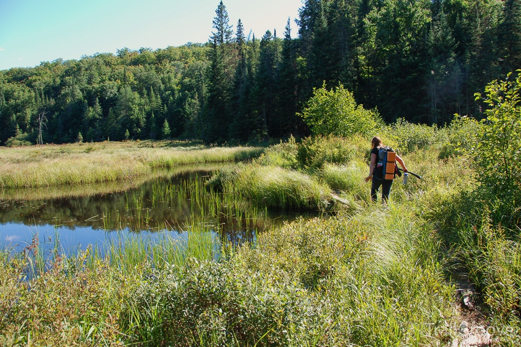 Best Hiking Clothes (Women)